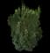Castle Keep® Blue Holly — design image 4