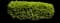 Pittosporum Mojo® — design image 2
