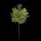 Bald Cypress Tree — design image 1