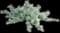 California Sagebrush — design image 1