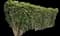 Chinese Banyan — design image 13