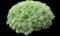 Silvermound Sage Brush — design image 4