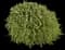 Rosemary — design image 6