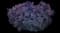 Smoketree — design image 10