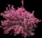 Weigela — design image 4