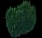 Boxwood Shrub — design image 5