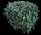 Thorny Olive — design image 3