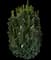 Castle Keep® Blue Holly — design image 1