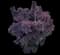 Smoketree — design image 1