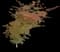 Japanese Maple Tree — design image 9