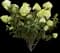 Let's Dance Big Easy® Reblooming hydrangea — design image 2