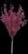 Red Barron Crabapple — design image 1