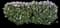 Rose of Sharon — design image 12