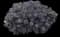 Dazzleberry Stonecrop — design image 1
