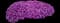 Cascade Purple Rockcress — design image 9