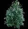 Castle Rouge® Blue Holly — design image 1