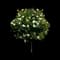Knock Out Roses — design image 2