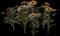 Marigold — design image 1
