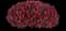 MiniFamous® Neo Double Red Calibrachoa — design image 3