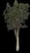Punk Tree — design image 3