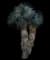 Desert Spoon — design image 5