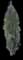 Fine Line® Buckthorn — design image 11