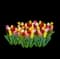 Tulips — design image 4