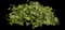 'Gold Child' Ivy — design image 1
