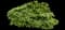 Tea Olive Shrub — design image 2
