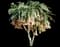 Peach Angel Trumpet — design image 1