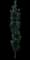 Beacon® Swamp White Oak Tree — design image 4