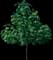 Phoenix One® Royal Empress Tree — design image 1