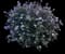 Rose of Sharon — design image 1