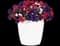 Trixi® Plant Combinations from Selecta — design image 4