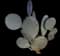 Purple Prickly Pear Cactus — design image 4