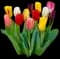 Tulips — design image 1