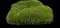 Blue Chip Creeping Juniper — design image 2