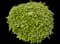 Laurustinus Viburnum — design image 19