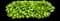Hosta Plants — design image 8