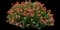 Nodding Pincushion — design image 1
