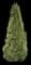 Jean's Dilly® Alberta Spruce Tree — design image 1
