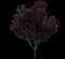 Flowering Plum Tree (Prunus cerasifera) — design image 15