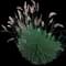 Ruby Grass — design image 1