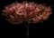 Wireless® Zelkova Tree — design image 3
