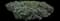 Star Jasmine — design image 4