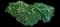 Nandina — design image 13