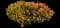 Copper Ice Plant — design image 2