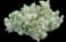 Silver mound (Artemisia) — design image 2