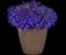 Heatopia Blue Lobelia — design image 2