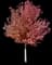 Red Maple Tree — design image 8